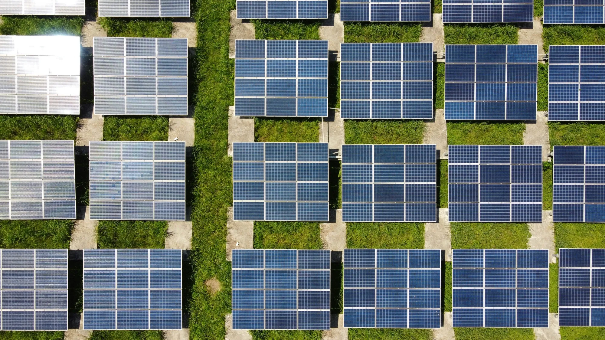 3x organic traffic and 40% more leads for a solar energy brand